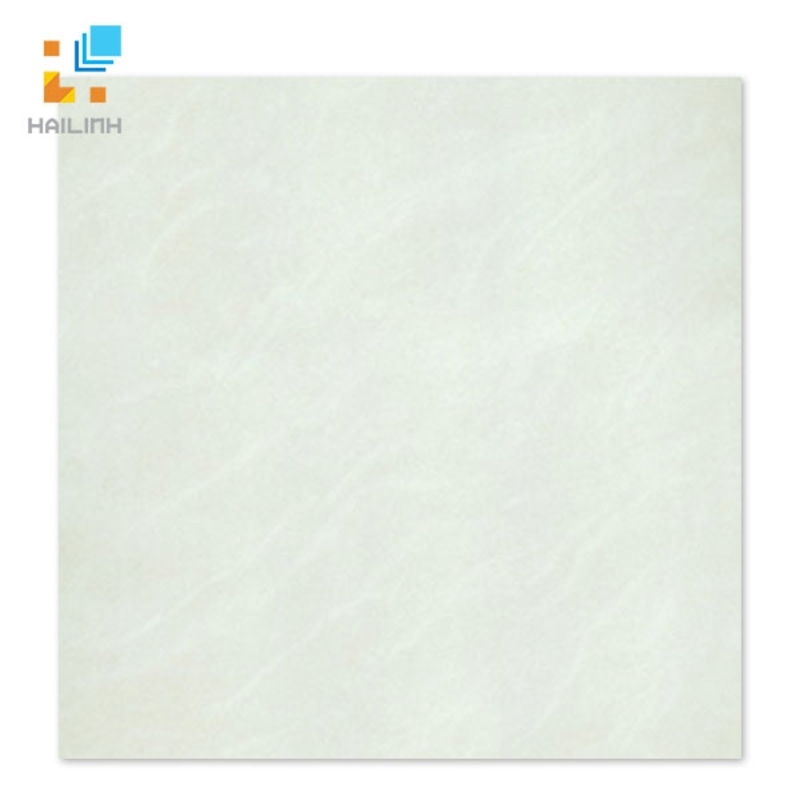 Ảnh Gạch Taicera P67025N 1