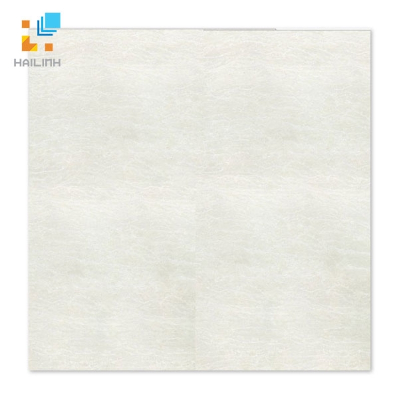 Ảnh Gạch Taicera P67225N 1