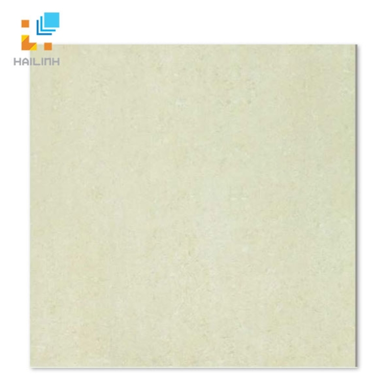 Ảnh Gạch Taicera P67313N 1