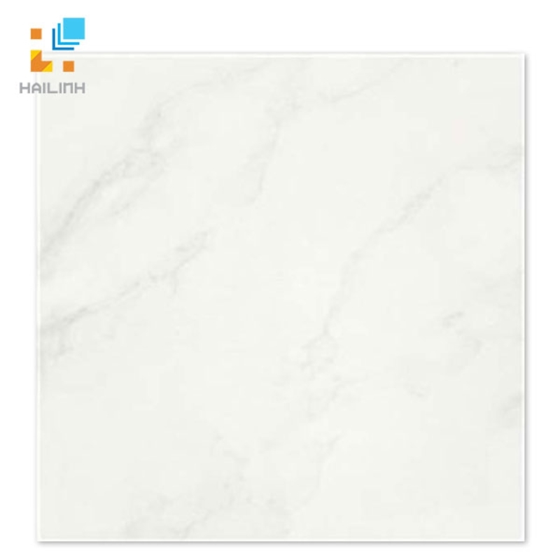 Ảnh Gạch Taicera P67418N 1