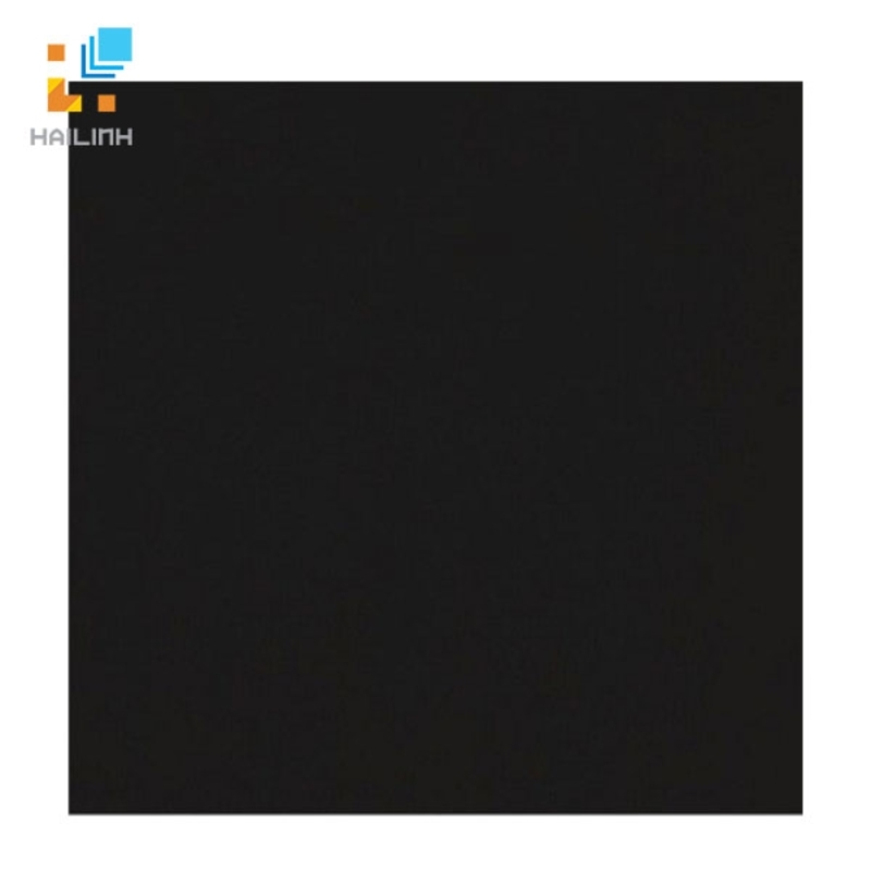 Ảnh Gạch Taicera P67609N 1