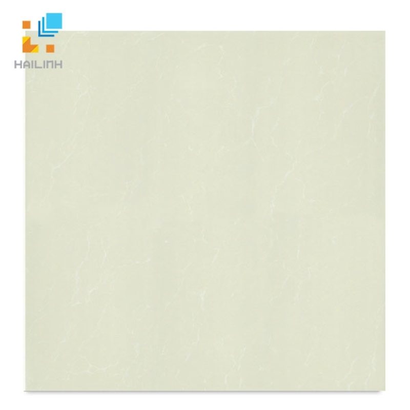 Ảnh Gạch Taicera P67763N 1