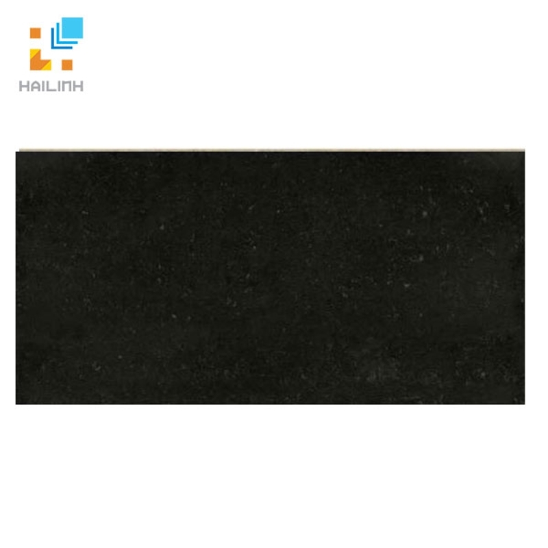 Ảnh Gạch TAICERA PC600x298-319N 1