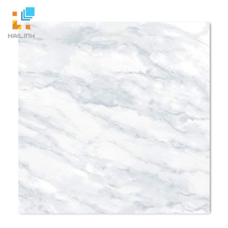 Ảnh Gạch Taicera GP68955 1