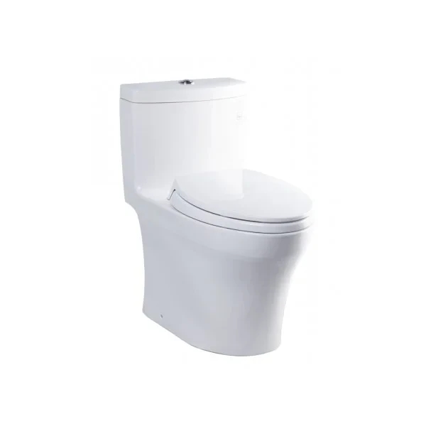 Ảnh Bồn cầu 1 khối TOTO MS889DRT2 1