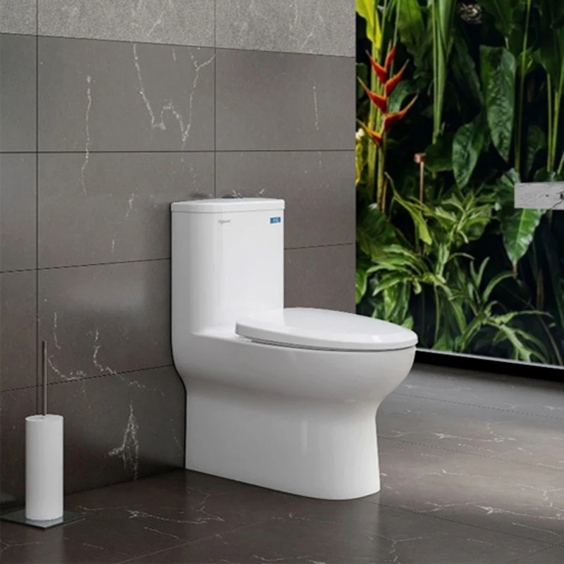 Bồn cầu 1 khối Viglacera V848