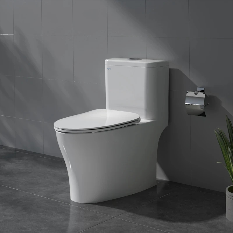 Bồn cầu 1 khối Viglacera V63