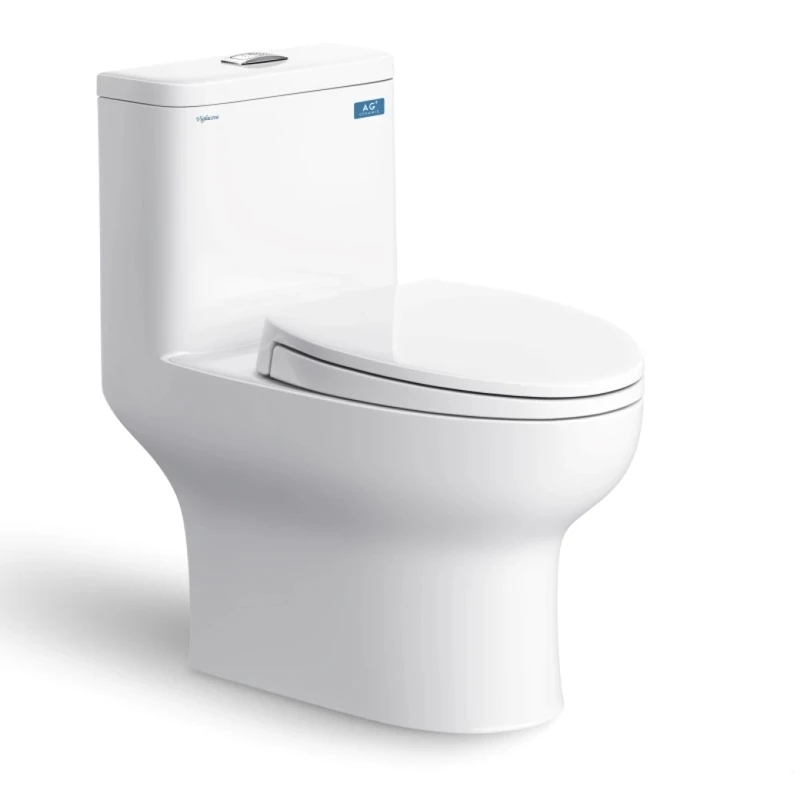 Bồn cầu 1 khối Viglacera V64