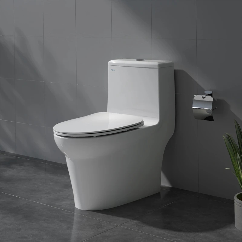 Bồn cầu 1 khối Viglacera V65