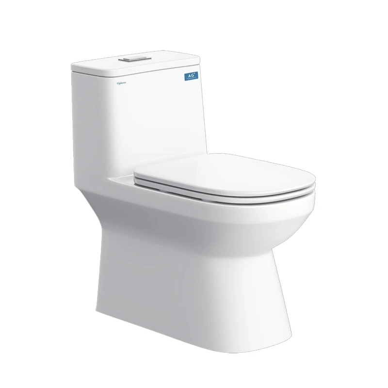 Bồn cầu 1 khối Viglacera V816