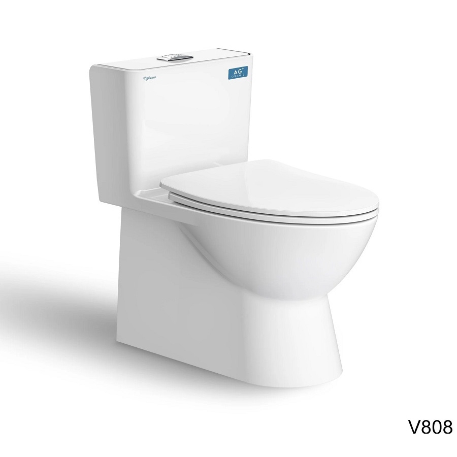 Ảnh Bồn cầu 1 khối Viglacera VG808 1