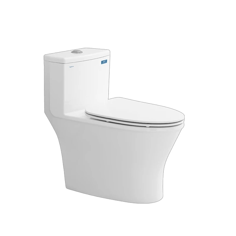 Ảnh Bồn cầu 1 khối Sanfi S303 1