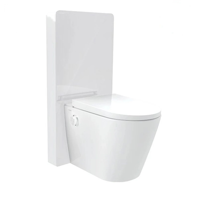 Ảnh Bồn cầu thông minh Platinum P.16.321 1