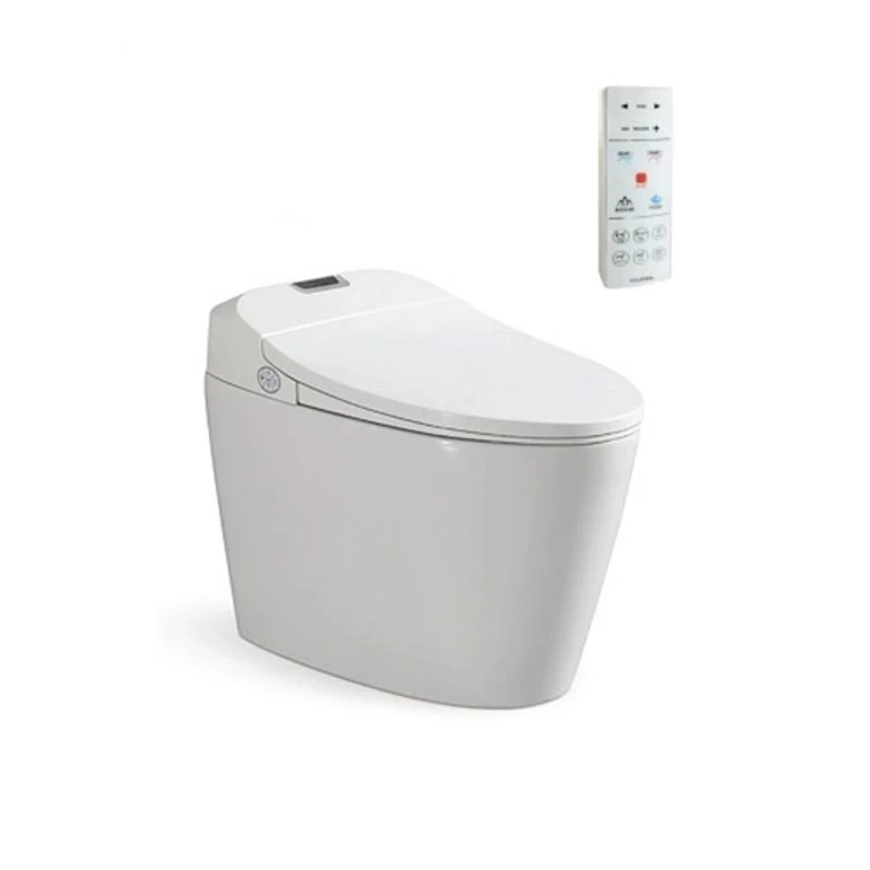 Bồn cầu thông minh Viglacera V94