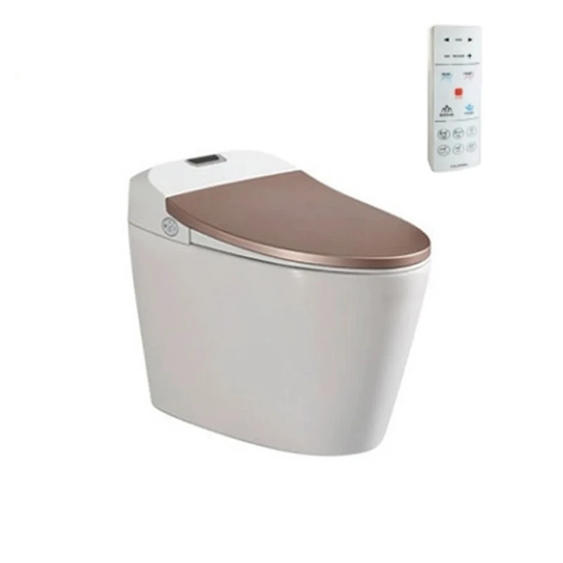 Ảnh Bồn cầu thông minh Viglacera V94GW 1