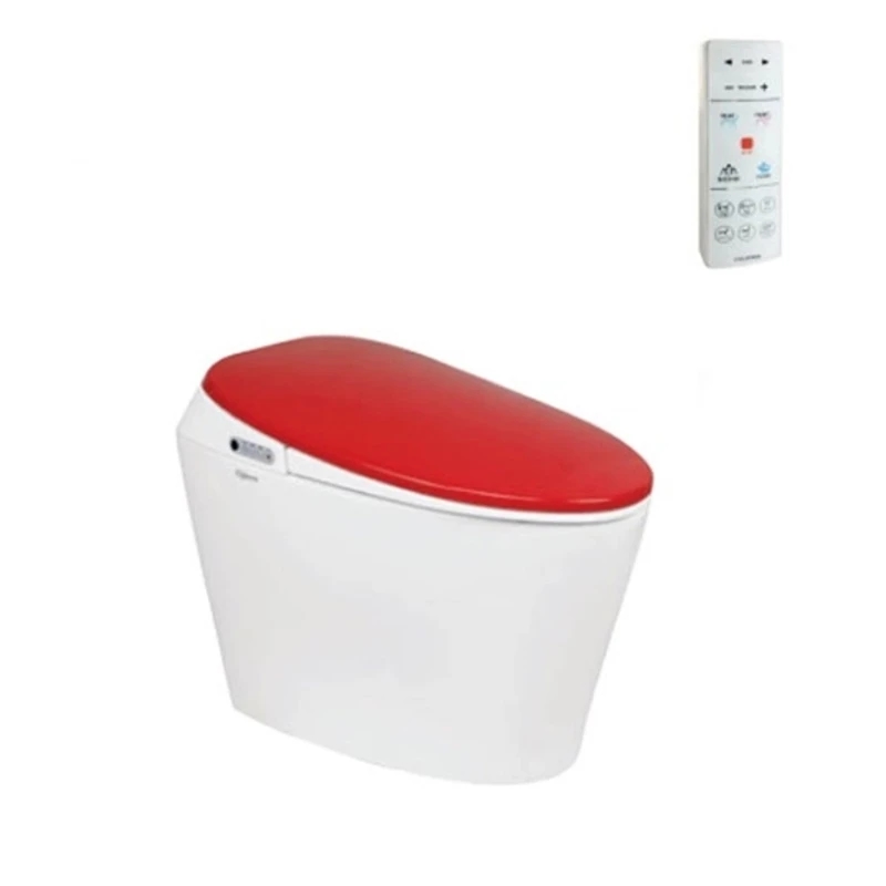Ảnh Bồn cầu thông minh Viglacera V94R 1