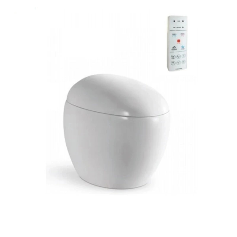 Ảnh Bồn cầu thông minh Viglacera V96 1
