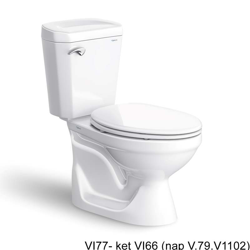 Ảnh Bồn cầu 2 khối Viglacera VI77 1