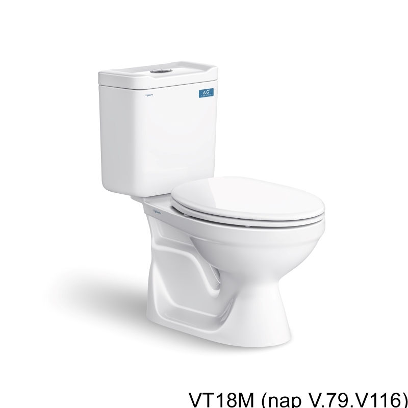 Ảnh Bồn cầu 2 khối Viglacera VT18M 1