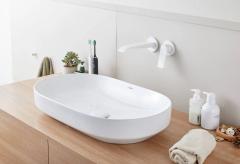 Ảnh Chậu rửa dương bàn Hansgrohe 22424007 3