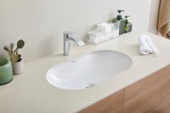 Ảnh Chậu rửa âm bàn Hansgrohe 22429007 2