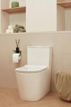 Ảnh Bồn cầu 1 khối Hansgrohe 22431007/22433007 5