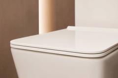 Ảnh Bồn cầu 1 khối Hansgrohe 22434007/22436007 4