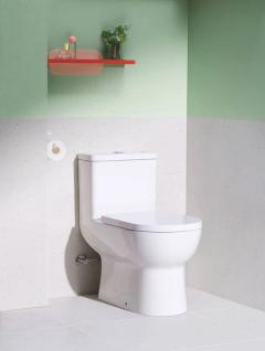 Ảnh Bồn cầu 1 khối Hansgrohe 22466007/22468007 4