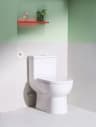 Bồn cầu 1 khối Hansgrohe 22466007/22468007 4