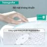 Bồn cầu 1 khối Hansgrohe 22434007/22436007 3