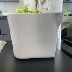 Ảnh Chân chậu ngắn COTTO C4201 sứ cao cấp 3