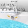 Chậu rửa treo tường Caesar LF5263 + PF2463 4