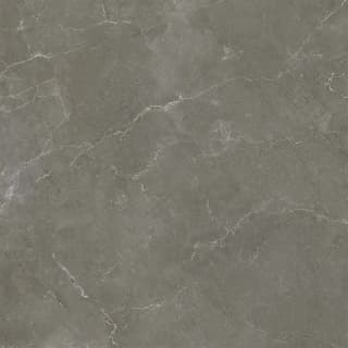 Gạch Ấn Độ BIXBITE GREY