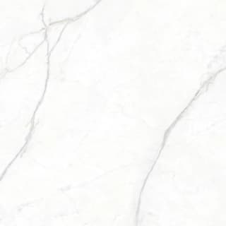 Ảnh Gạch Eurotile PLA S01P 1