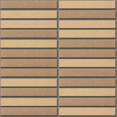 Ảnh Gạch ốp lát INAX-1525/EAC-1 3