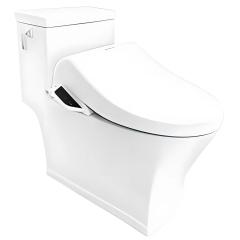 Ảnh Bồn cầu điện tử American Standard WP-2025PR 1