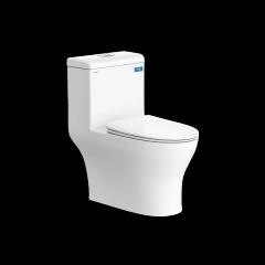 Ảnh Combo thiết bị vệ sinh Viglacera số 15 6