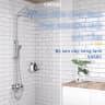 Sen tắm cây nóng lạnh Caesar S668C 3
