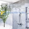 Sen tắm cây nhiệt độ Caesar S788C 3
