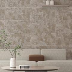 Ảnh Gạch Đồng Tâm 4080SAPA006 3