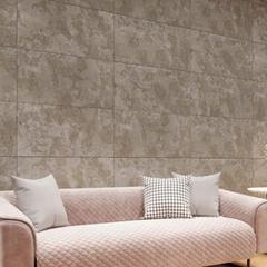 Ảnh Gạch Đồng Tâm 4080SAPA006 5