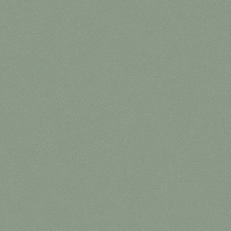 Gạch Taicera G39042