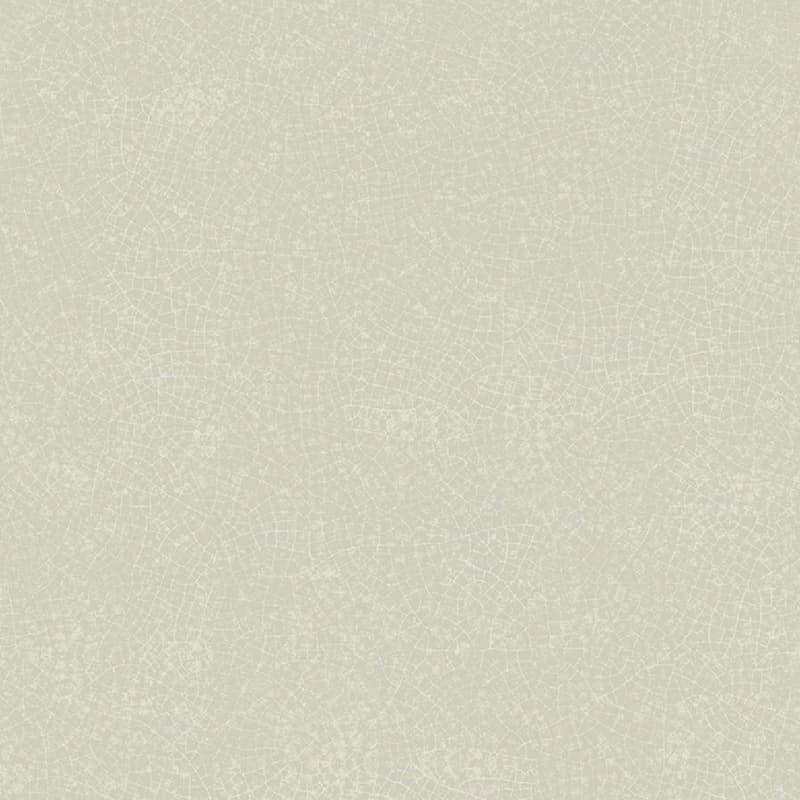 Gạch Taicera G68031