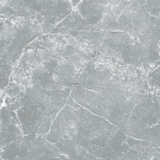 Ảnh Gạch Taicera G98038 1