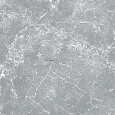 Gạch Taicera G98038
