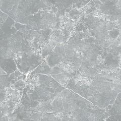 Ảnh Gạch Taicera G98038 3
