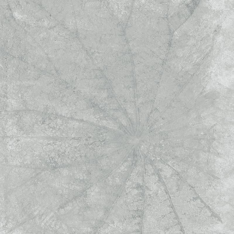 Gạch Taicera G98L07