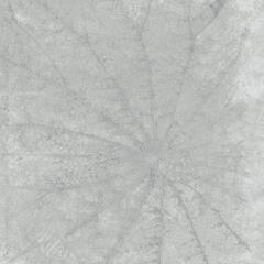 Ảnh Gạch Taicera G98L07 1