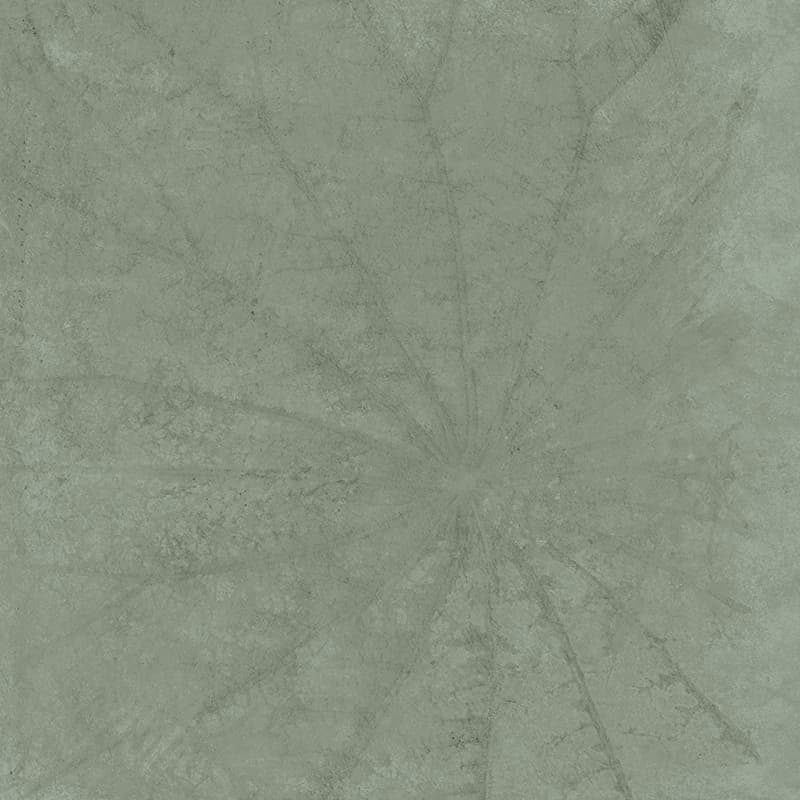 Gạch Taicera G98L08