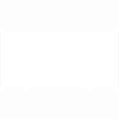 Ảnh Gạch Taicera GP12035 1